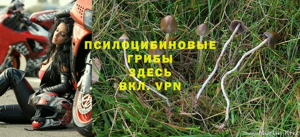 круглые Алзамай