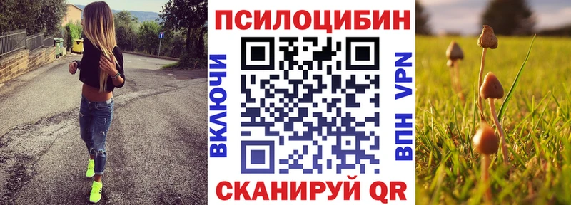 закладки  Туринск  Галлюциногенные грибы Magic Shrooms 